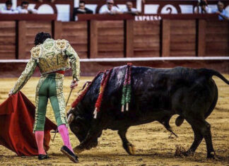 Francia vuelve a contar con Santana Claros