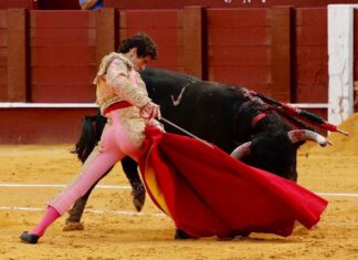 Santana Claros es ovacionado en su lote en Arenas de San Pedro, y le corta las orejas al sobrero de regalo