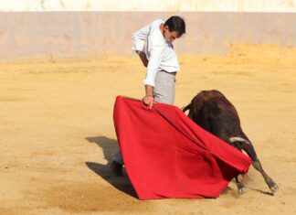 Tentadero con Fortes y David de Miranda en la ganadería de Manuel Blázquez (Galería de David Bracho)