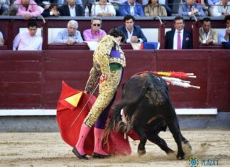 Santana Claros, solvente y fiel a su concepto con el lote más complicado en Madrid