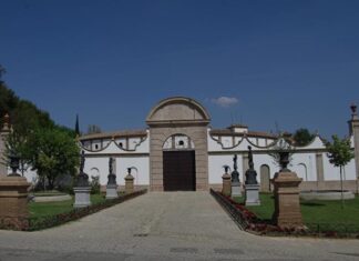 Un completo programa lúdico para acompañar la Final del Circuito de Novilladas