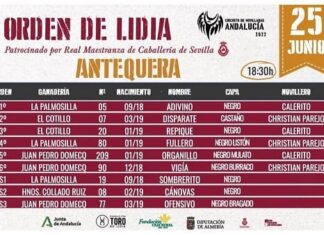 Sorteados los novillos para la Final del Circuito de Andalucía en Antequera