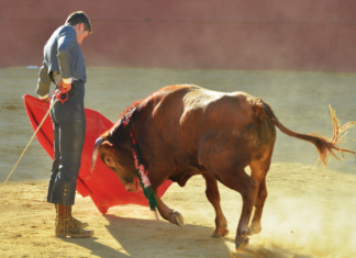 Siete becerristas de las escuelas malagueñas comienzan su camino a la final de Estepona