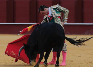 Intenso fin de semana para la Escuela de la Diputación de Málaga