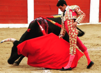 Un fin de semana importante para los novilleros malagueños