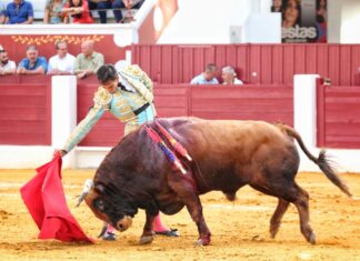 La espada priva a Fortes de una reaparición perfecta