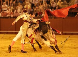 Santana Claros en Sevilla, en el objetivo de David Bracho (galería)