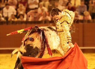 Disposición y estética de Santana en una fría noche con casi 40 grados