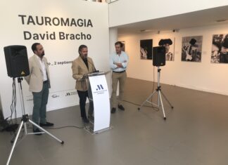 Ángulos imposibles y momentos irrepetibles en la ‘Tauromagia’ de David Bracho