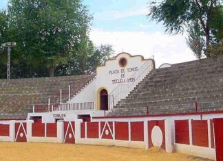 Toros de Manuel Blázquez para Socuéllamos