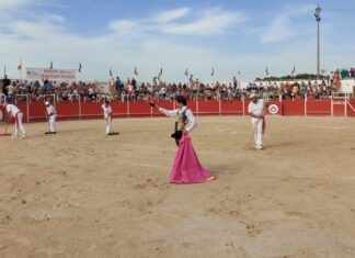 Santana Claros, fuerte voltereta y oreja en Boujan-sur-Libron