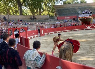 Cornada de dos trayectorias a Lavado en Francia