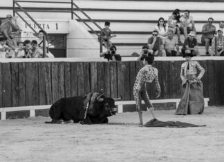 El triunfo de Lavado en Yunquera de Henares (Galería de Marta Tejera)