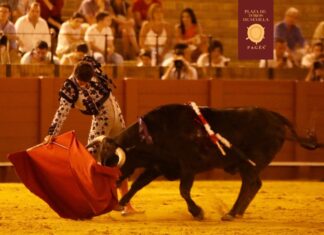 El Moli de Ronda es silenciado en Sevilla