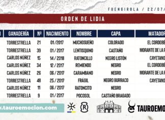 El Cordobés, Morante y Cayetano ya conocen sus lotes para Fuengirola (Orden de lidia)