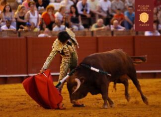 Vuelta al ruedo para Julio Alguiar en la nocturna de Sevilla