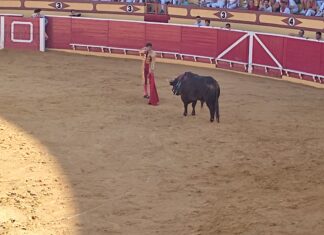 Orozco, dos orejas y puerta grande en Lodosa