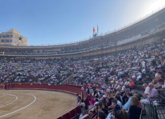 Petición sin premio para Manuel Martínez en Valencia