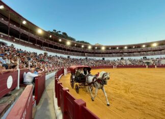 Gran ambiente en XXXIX Concurso de Enganches en La Malagueta