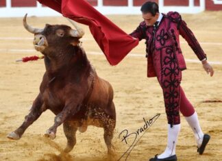 Las dos actuaciones de Fortes durante este fin de semana se podrán ver por televisión