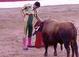 Fortes, oreja y oreja en Sacedón