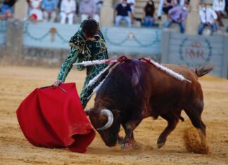 Roca Rey confirma su reaparición en la Goyesca de Ronda