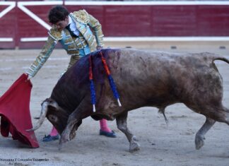 Orozco es silenciado en su lote en Tafalla