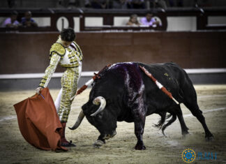 La torería de Santana Claros en Las Ventas, en imágenes
