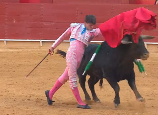 Seria novillada de Martín Lorca en Roquetas