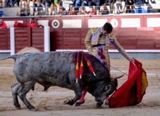 La temporada de Fortes toma impulso a partir de Málaga