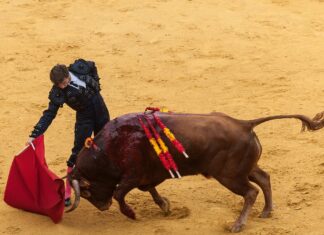 Curro Márquez, anunciado en Pedrajas de San Esteban