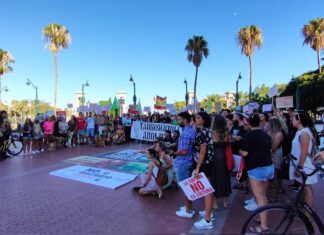 25 colectivos antitaurinos reúnen a menos de 200 personas en su manifestación de Málaga