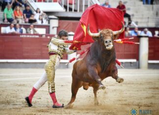Solo detalles en su lote para Santana Claros en Madrid, silenciado en su lote