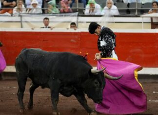 Más que solvente Fortes en la ‘miurada’ de Bilbao
