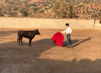 Toros con la Luna se aplaza hasta nueva fecha