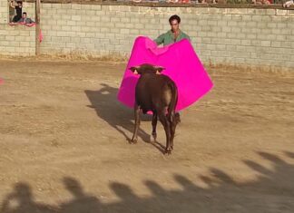Fiesta de toros y verdiales por el Día de Andalucía en la Rivera de los Montes