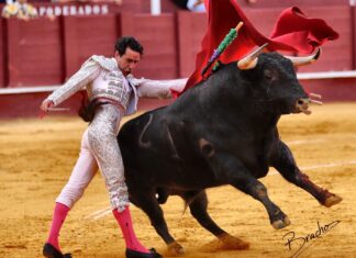 Lavado se presentará en Las Ventas antes de tomar la alternativa