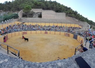 Triunfal vuelta de los toros a Carratraca