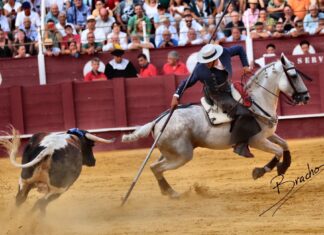 Ferrer Martín estará en la Corrida Rondeña de Rejones
