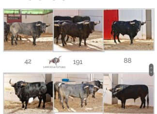 Orden de lidia del Desafío Ganadero