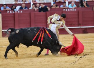 Los naturales de Ángel Téllez sobresalen en un mediocre Desafío Ganadero