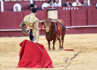 Impacto en La Malagueta por la dramática cogida de Fortes
