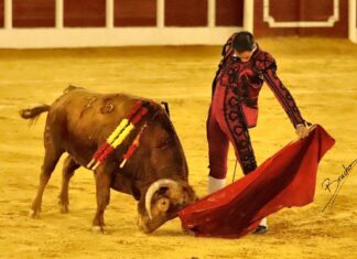 Fortes se levanta de la lona para triunfar por pureza y verdad en la Goyesca de Antequera