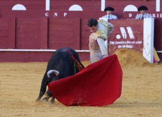 Ernesto Lorenzo abre la puerta grande con un destacable encierro de Dolores Rufino en la tercera del Certamen de Escuelas