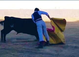 Curro Márquez ultima su preparación ante su primera novillada de la temporada