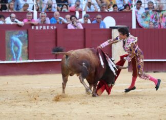UTAMA concede a Roca Rey su Trofeo Paco Madrid a la Mejor Estocada