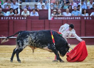 Silencio en su lote para Lavado en el Desafío Ganadero de Cadalso de los Vidrios