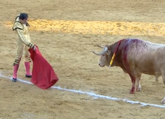 Más que seria actuación de Fortes con tres orejas en Madridejos