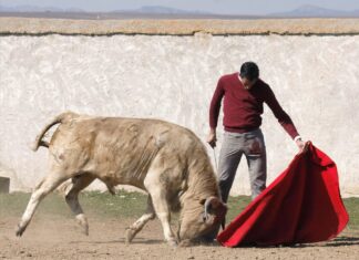 Fortes, en dos festivales antes de la Feria del Pilar