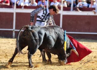 Javier Orozco: dos orejas y vuelta al ruedo en Honrubia